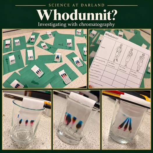Whodunnit?